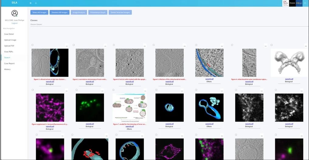 SILA: A system for scientific image analysis